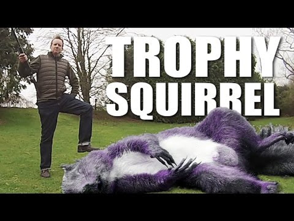 Trophy Squirrel