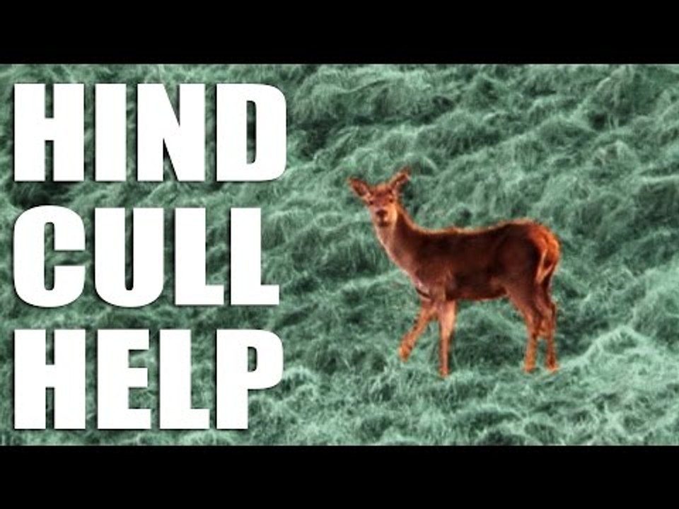 Hind Cull Help