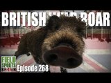 Fieldsports Britain - British Wild Boar