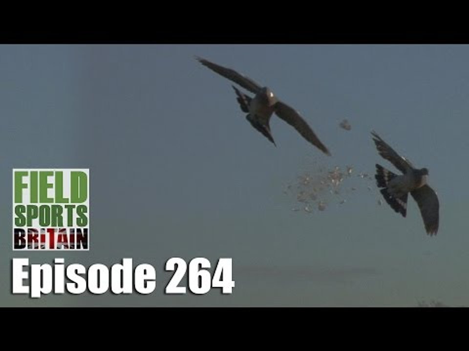 Fieldsports Britain - Crow's On Form