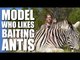 Model who likes baiting antis - Fieldsports Channel News