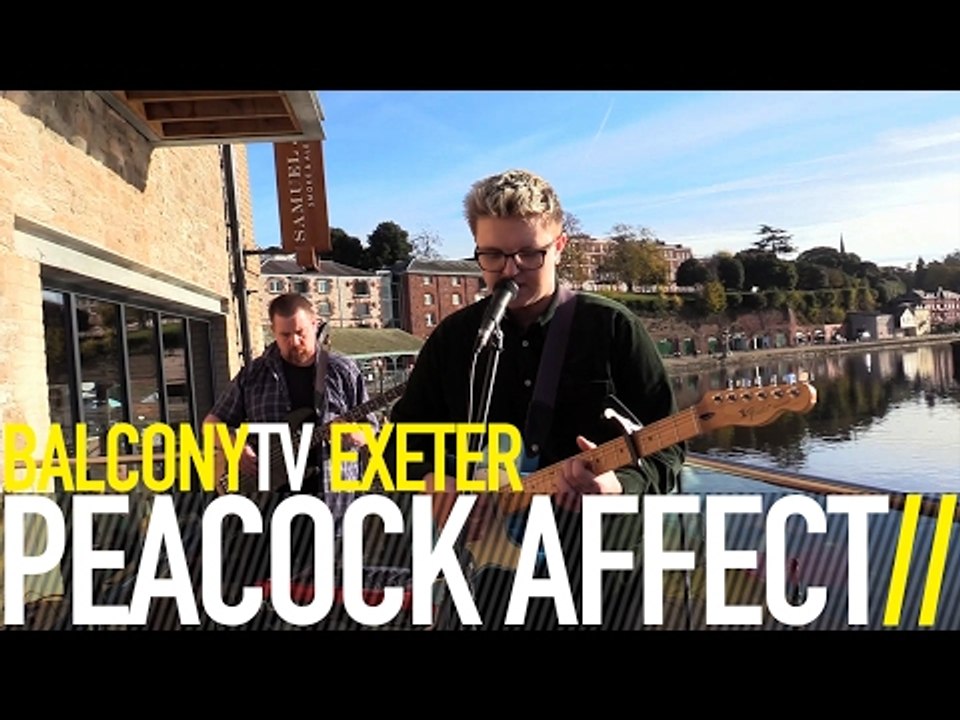 PEACOCK AFFECT - SPACESHIP (BalconyTV)
