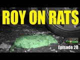 Roy on Rats - AirHeads, episode 28