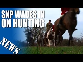 SNP wades in on Hunting - Fieldsports Channel News