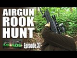 Airgun Rook Hunt - AirHeads, episode 37