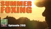 Fieldsports Britain - Summer Foxing