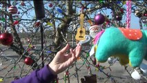 Father Continues to Decorate Daughter's Beloved Tree 12 Years After She Was Killed in Crash