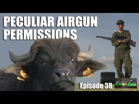 Peculiar Airgun Permissions - AirHeads, episode 38