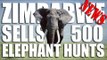 Zimbabwe sells 500 Elephant Hunts - Fieldsports Channel News