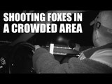 Shooting Foxes in a Crowded Area