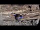 Freesoloing a Monstrous 5.10 in Shasta | The Sufferfest with Alex Honnold and Cedar Wright, Ep. 3