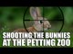 Shooting the Bunnies at the Petting Zoo