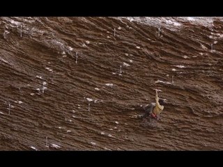 What These Climbers Found in Kentucky Was Not Fried Chicken... | Lost in North America, Ep. 10