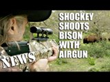 Shockey Shoots Buffalo with Air Crossbow Gun - HotAir news
