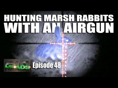 Hunting Marsh Rabbits with an Airgun - AirHeads, episode 48