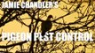 Jamie Chandler's Pigeon Pest Control