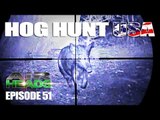 Hog Hunt USA with Airguns - AirHeads, episode 51