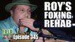 Fieldsports Britain - Roy's Foxing Rehab
