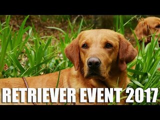 Skinners World Cup Retriever Event 2017