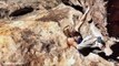 Mina Leslie-Wujastyk Sending Boulders in Hueco Tanks, Texas | EpicTV Climbing Daily, Ep. 221