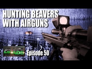 Hunting Beavers with Airguns - AirHeads, episode 50