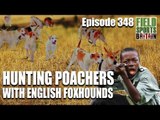 Fieldsports Britain - Hunting Poachers with English Foxhounds