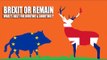 Brexit or Remain - which is worse for hunters and shooters?