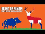 Brexit or Remain - which is worse for hunters and shooters?