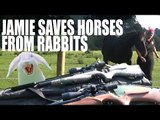 Jamie Saves Horses From Rabbits