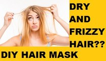 Dry and Damaged Hair Care Tips (DIY)