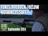 Fieldsports Britain - Foxes, Roebuck, Fallow, nothing is safe