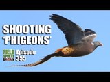 Fieldsports Britain - Shooting 'Phigeons'