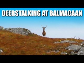 Deerstalking at Balmacaan Estate, Inverness-shire