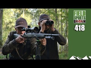 Fieldsports Britain - Fast French Boar