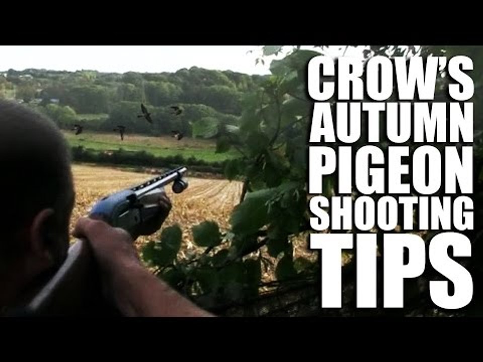 Crow's Autumn Pigeon-Shooting Tips