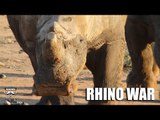 Rhino War: Fieldsports Africa special report