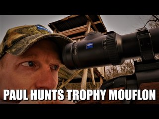 Paul hunts trophy mouflon