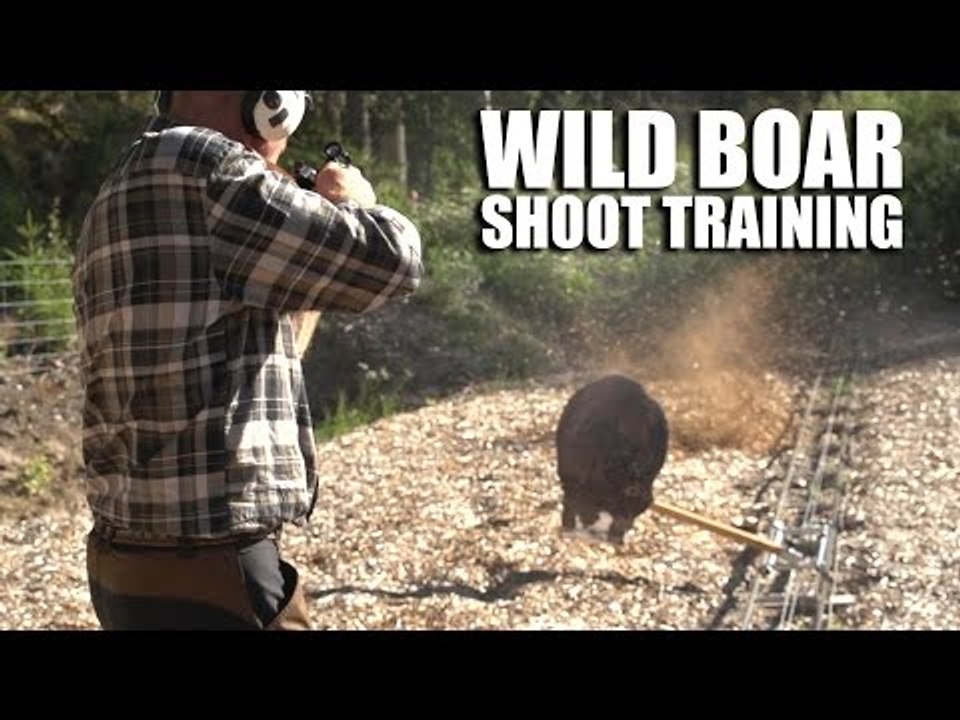 Wild Boar Shoot Training