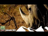 Fieldsports Britain - Battle for the Rhinos