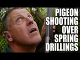 Pigeon shooting over spring drillings