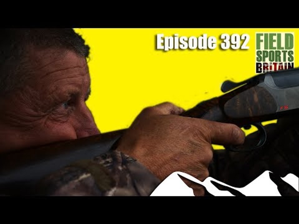 Fieldsports Britain - Crow on Point