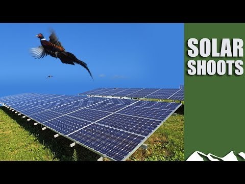 Shooting over solar farms