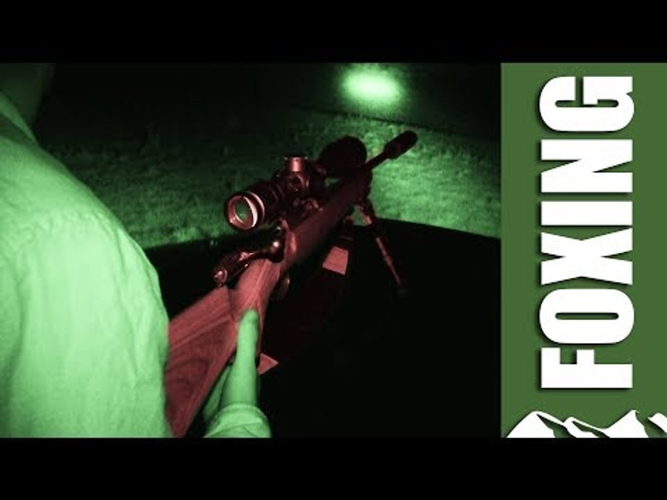 Foxshooting in August
