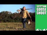 Egyptian Goose Pest Control with an Airgun