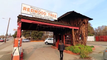 A Gas Station made from WHAT!? Plus a drive-through giant!