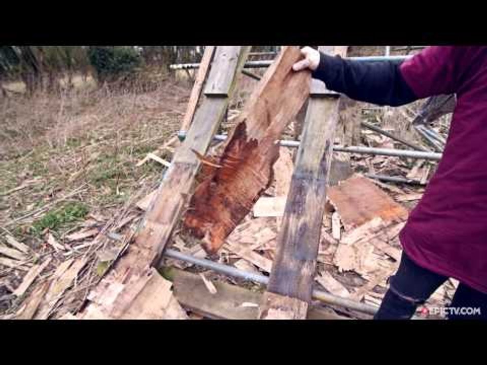Work In Progress - Bob Manchester | Faster Forward BMX, Ep. 18