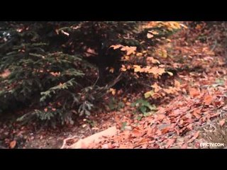 Check Out Jaws' New Freeride Trail At Antidote Bike Park | Jawsome, Ep. 3