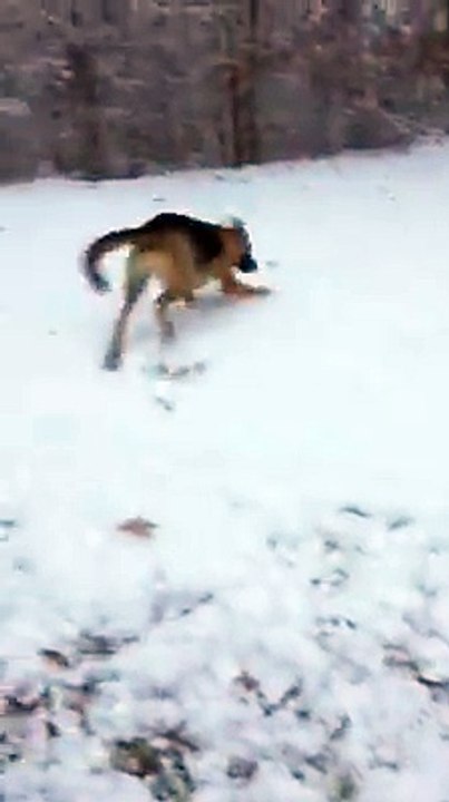 First Snow Experience