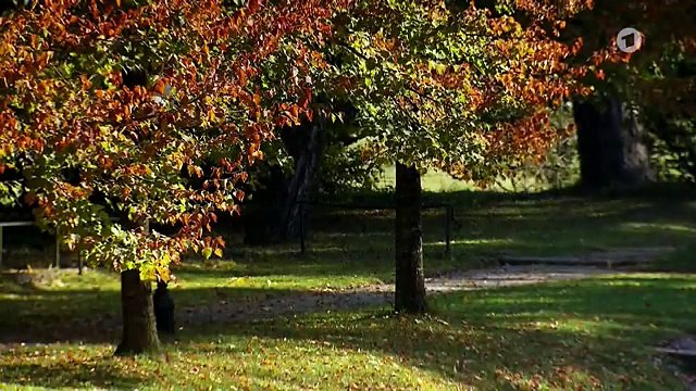 Sturm der Liebe 2830 folge