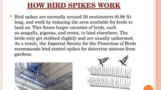 Installation process of Bird Spike | Nets N Spikes